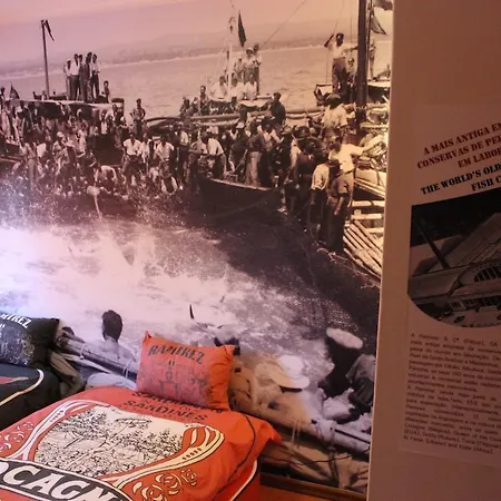 Oporto Excentric Surf / Design Hostel Porto